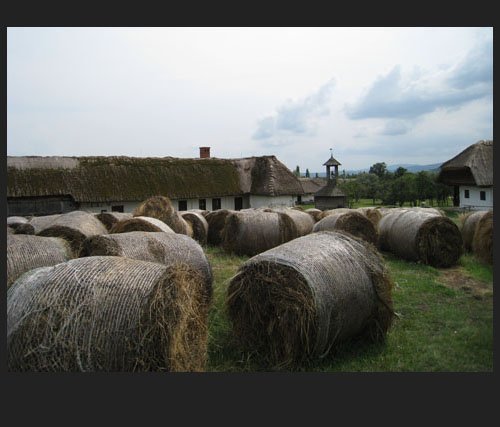 kanga-hagyomanyorzes