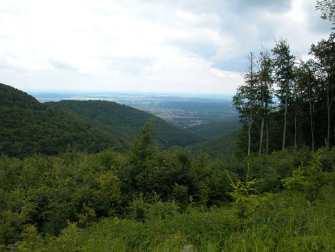 kanga-kedvenc-helyeim-001