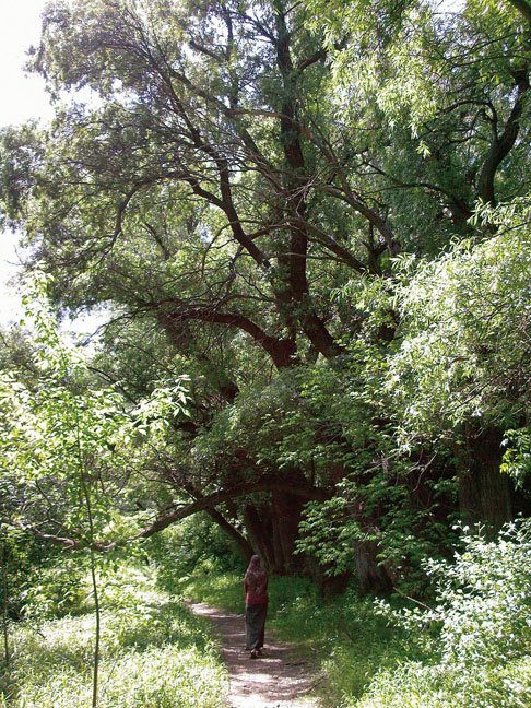 kanga-kedvenc-helyeim-010