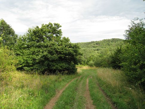 kanga-kedvenc-helyeim-027